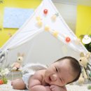 스튜디오토리 - 서구 둔산로 70 | 스튜디오토리