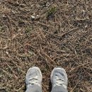 군강공원 | 진도 여행 추천 산책코스 / 군강공원-충혼탑-진도읍성