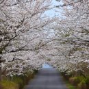 매니아PC프라자 이미지