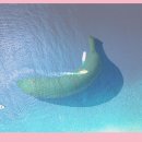 송평해수욕장1 이미지