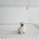 토리멍 이미지