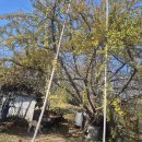 알토란사과체험마을 | 충남 예산 알토란 사과마을 및 예산 청촌 시즌2 체험 후기 - (1)