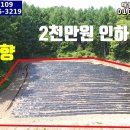 (8109) 2천만원 인하!! ■ 산으로 포근하게 둘러싸인~ 전망좋은 아늑한 토지 ■ 전 1,851㎡ (560평) 1억4천만원 이미지