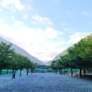 덕산면 캠핑장 월악 포레스트캐빈&amp;캠프, 1박 계곡 힐링 찐후기