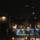 카페갤러리아 이미지