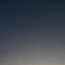 강현면사무소 이미지