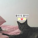 UR(포항시)-[새마을로]-상-8 | 24시 주차 편하고 아이들이 놀기 좋은 경북 포항 '누리마을감자탕 장성점'