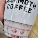 매머드익스프레스증미 | [매머드커피] 매머드커피 신상 딸기듬뿍라떼 내돈내산 후기