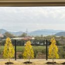 꺼먼돼지랑오리랑 이미지