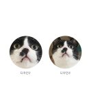 쿠크디자인