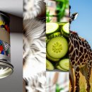 죽전실내테니스 이미지