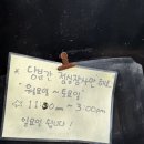 부일로763번길 | [부천] 역곡역, 가고 또 가는 인생 돈까스집 ”온누리돈까스“