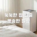 습기 때문에 눅눅한 집, 제습기 하나로 광명 찾은 찐 후기