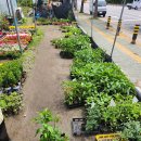 샬롬농장 이미지