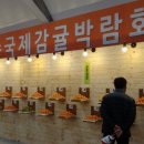 신례교차로 3 파이낸셜뉴스