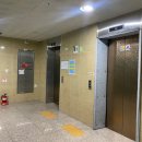 국세청앞BRT 이미지