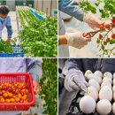 성내농장 이미지