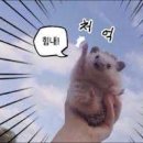 저단38 이미지