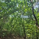 수리산 산림욕장 | “서울 근교 수리산 슬기봉 등산 후기｜초보자에겐 가파르지만 쉼터 덕에 도전 성공!”