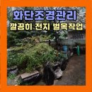 화성상회앞 클린하우스 | 화단나무정리(담넘은 나무 벌목 가지치기)