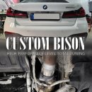 에이스디젤수리전문점 | BMW 디젤 배기 고질병, G30 520d 자바라 교체 수리, 수입차 배기튜닝 및 정비 전문 커스텀바이슨