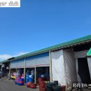 시장식당(5일시장) | 제주 한림민속5일시장에서 먹방 부성식당 후기