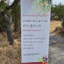 아산 모나밸리 더 레드 레스토랑 런치후기