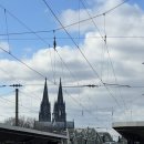 대강우체국 | Bonn(본) 당일치기 여행 후기