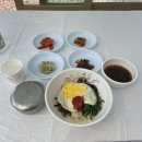 [삼척 뚜벅이 여행자 추천] 2024 삼척시티투어 버스 숲길따라 후기(코스/일정/식당)