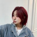 헤어그레이스
