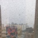 리팅성형외과의원 이미지