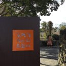 수지 토종농장 | 동부) 1탄 : 코업시티호텔, 최남단 감귤체험농장, 토종흑염소 목장, 고기국수, 카페 서연의 집, 이중섭...