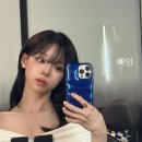 윈터블라썸 이미지