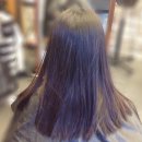 김유진헤어샵 | 오목교역미용실추천]여름 햇살과 가장 잘 어울리는 색 애쉬염색