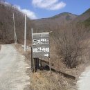 도기도기 이미지