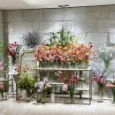 삼성데코 이미지