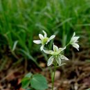 참좋은이웃 이미지