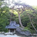 성주 만귀정 이미지
