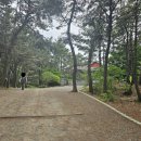 다대진 동헌 | 조선 수군의 자신감을 보여주는 경상좌수영 다대진 다대첨사의 집무실, 다대진 동헌