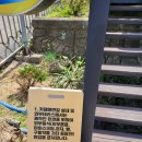 아야진해변길 5 이미지