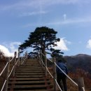 영애농장 이미지