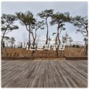 아산4호 이미지