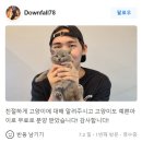 큐티댕냥 하남 본점 강아지 고양이 분양 이미지