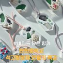 중학교 환경수업 출강 후기｜바다유리 석고방향제 만들기 체험