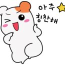 복싱 바이러스 체육관 이미지