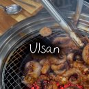 아라닭갈비앤쭈꾸미 이미지