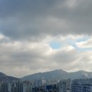 법무법인그린
