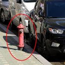 주정차53 이미지