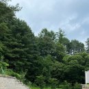 연화도감 이미지