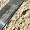 마운틴스포츠 | 시드니 투어 추천 내돈내산 블루마운틴+포트스테판 2일 투어 솔직 후기 (예약링크 포함)